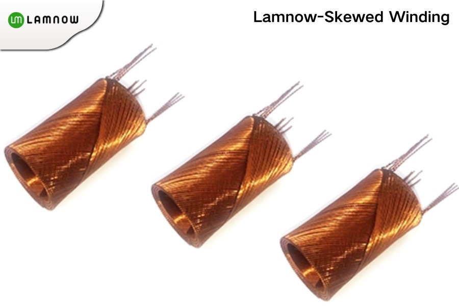coreless DC motor skew winding
