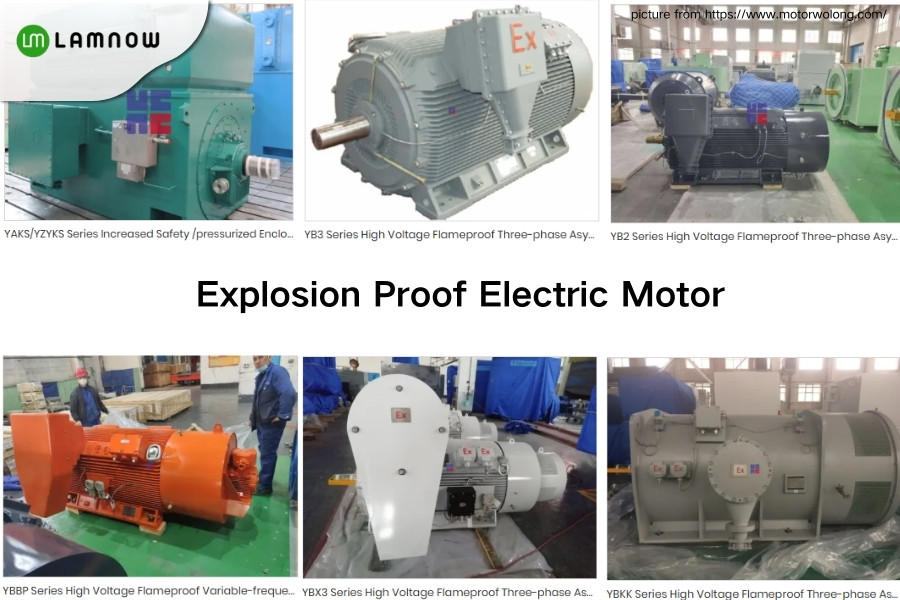 Jiamusi Explosion Proof Motor