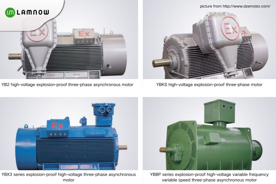 Jiangsu Dazhong Explosion Proof Motor