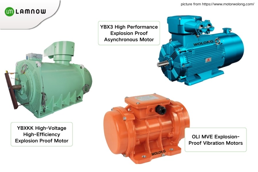 WoLong Nanyang Explosion Proof Motor
