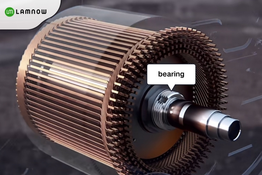 BYD Electric Vehicle Motor Bearing
