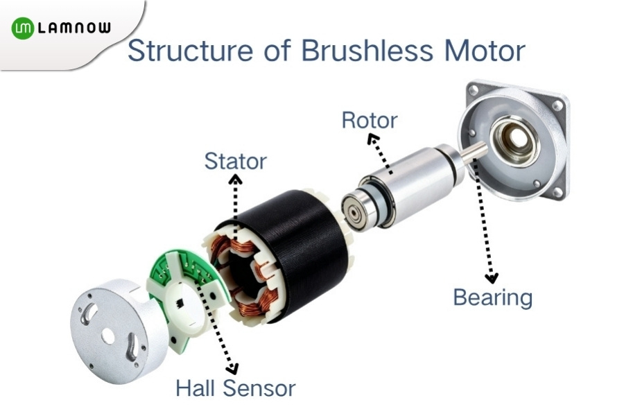 Structure of Blushless DC Motor